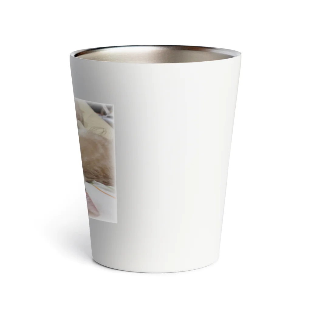 ねこたちのみつサーモ Thermo Tumbler