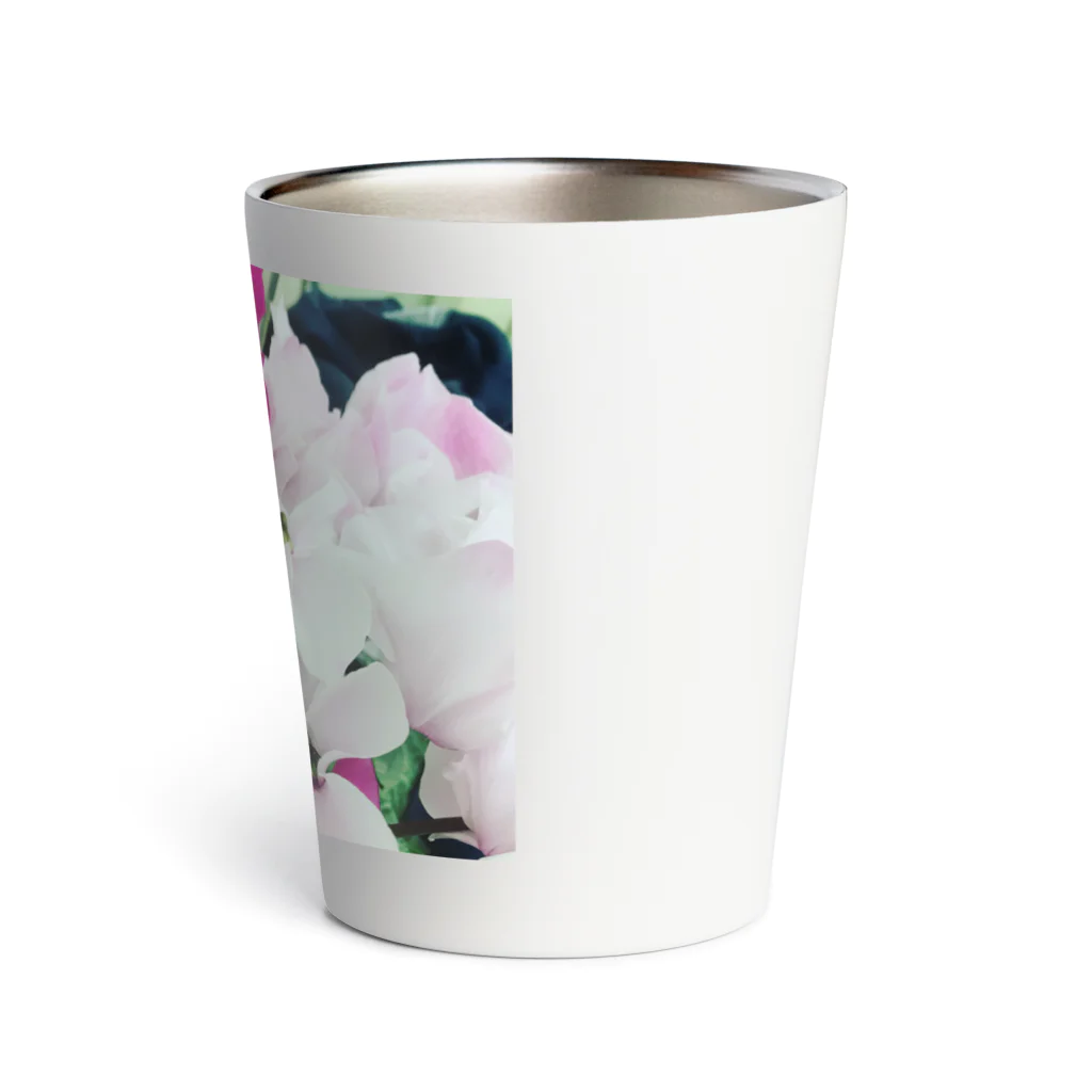 prosopocoilusunのCyclamen Thermo Tumbler