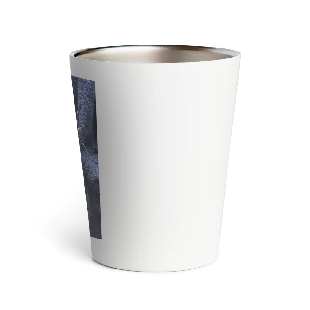 かめおうのちょうちょグロない？ Thermo Tumbler