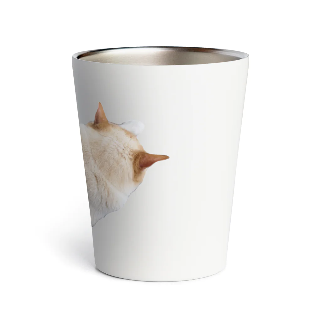 もっちりねこのもっちりねこ Thermo Tumbler