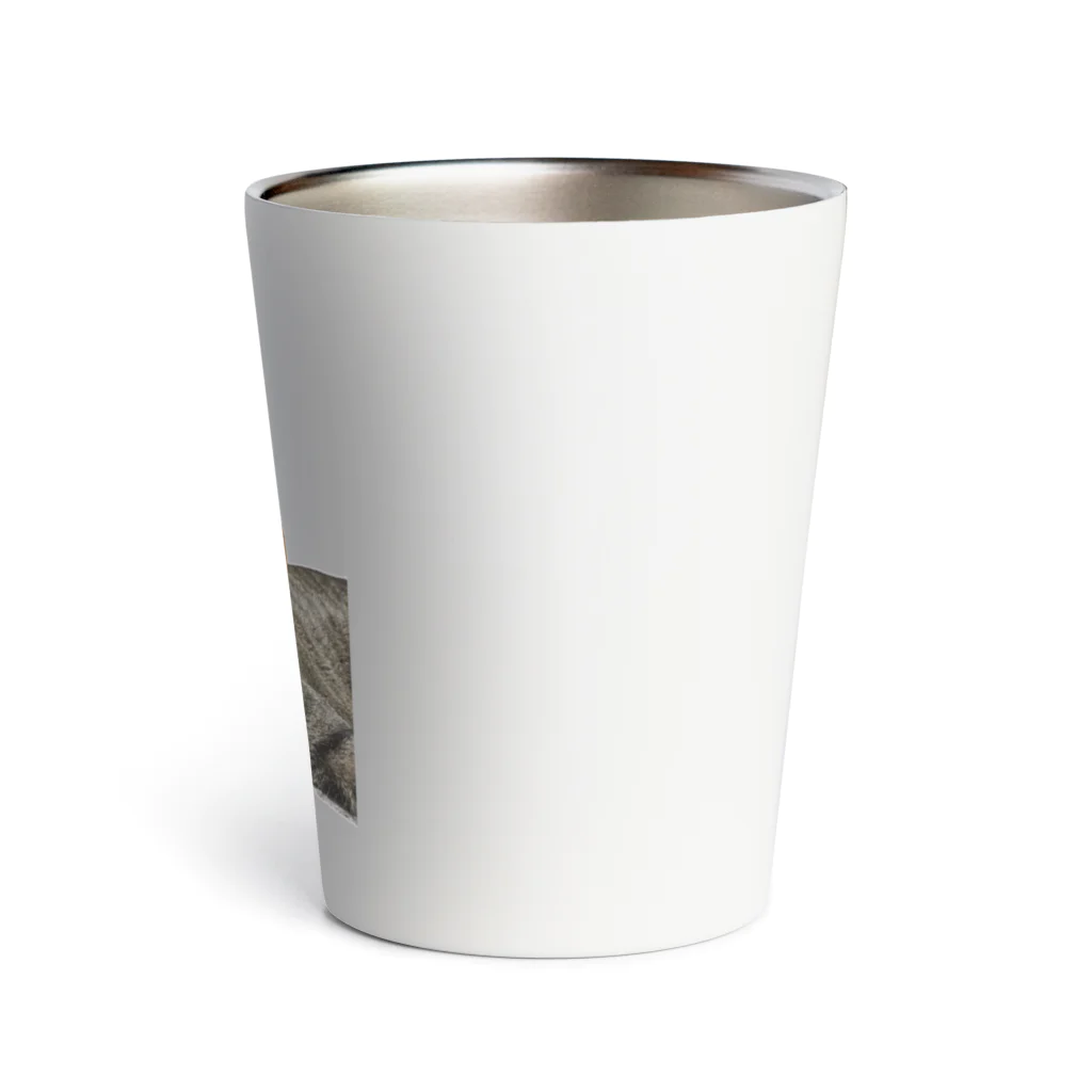 おぬしちゃんのなんパンマン Thermo Tumbler