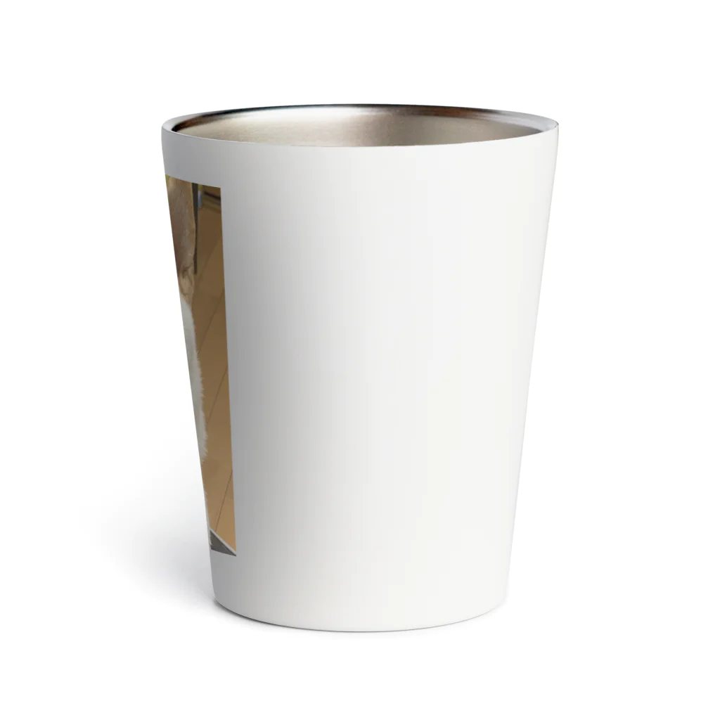 しずくのもちぴよ　タンブラー Thermo Tumbler