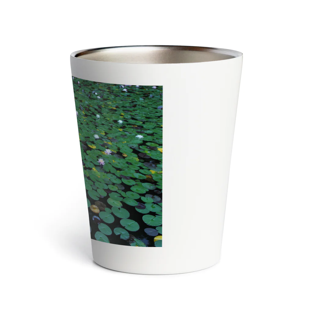 photo-kiokuの睡蓮 Thermo Tumbler