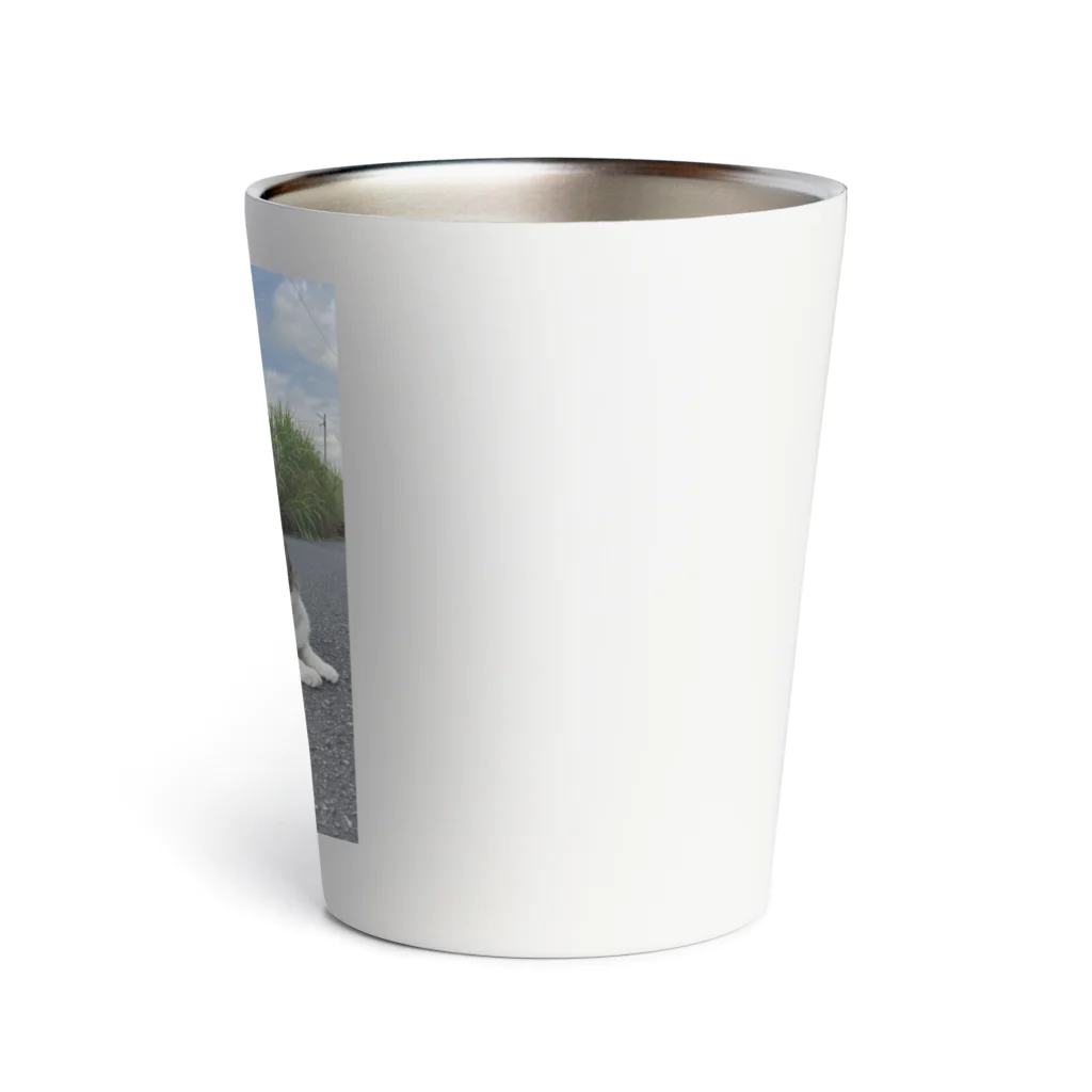 ながしっぽ from.さくらねこの家のながしっぽ　type．Ｉ Thermo Tumbler