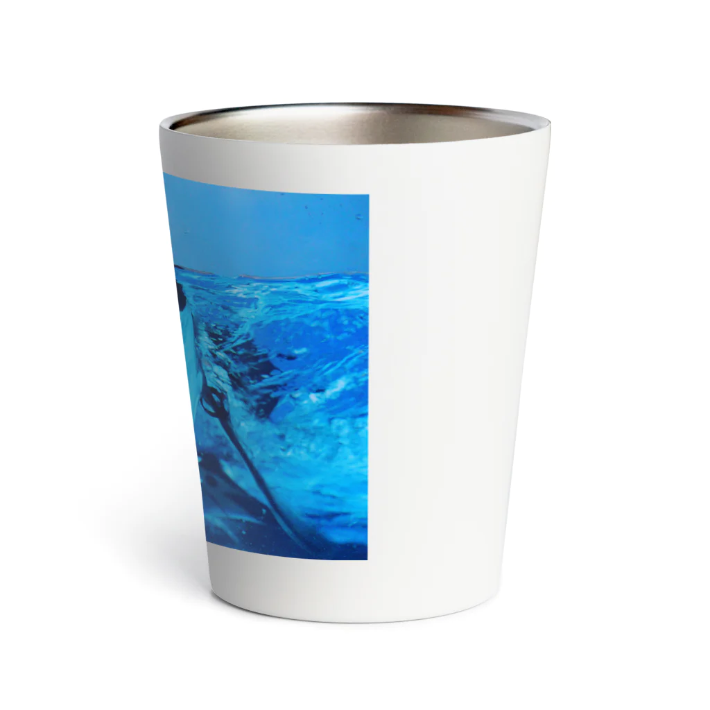 ペンギンの写真のヒゲペンギン　写真　リアル Thermo Tumbler