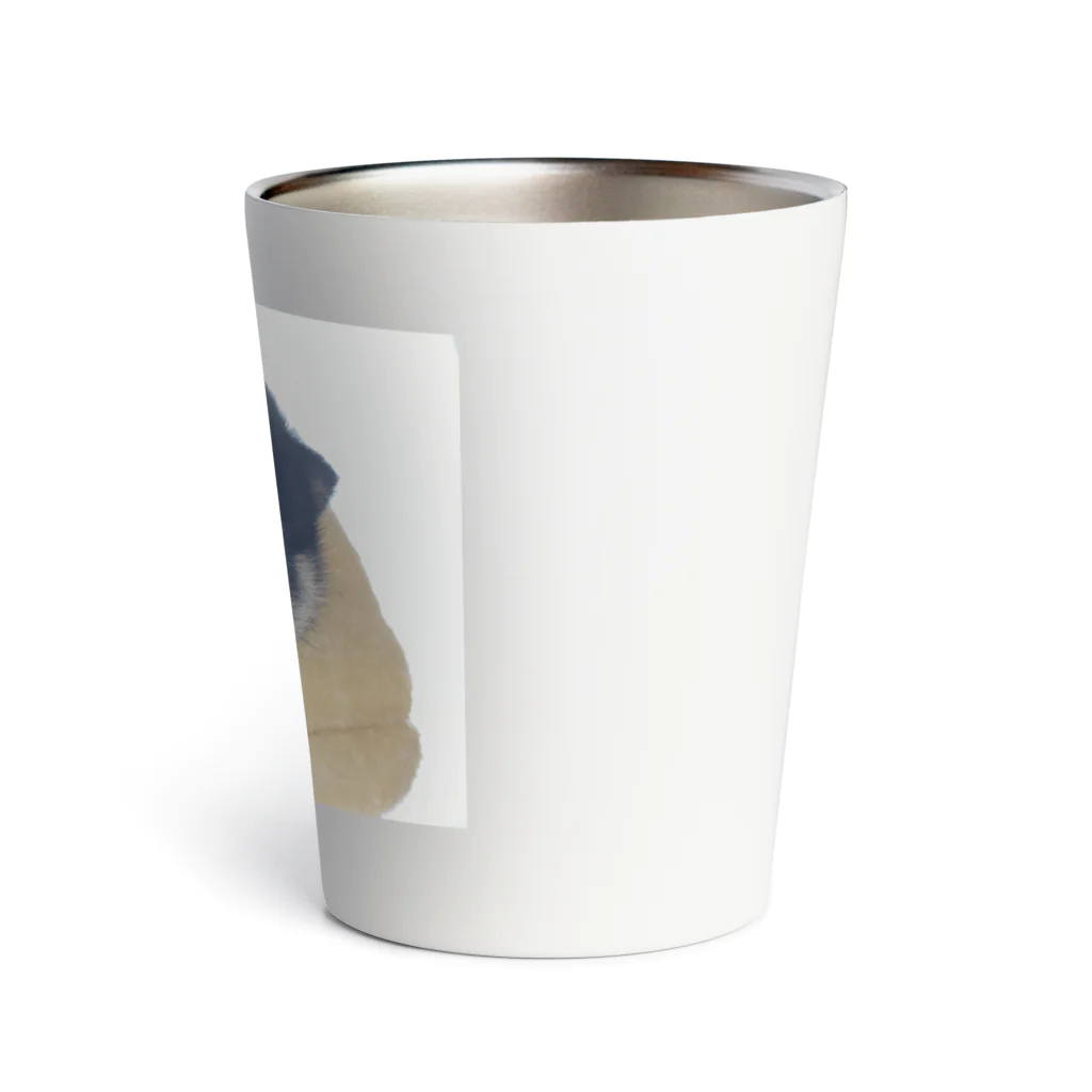 小豆のこまめくん Thermo Tumbler