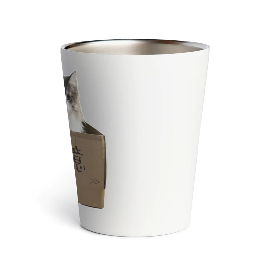 ネコランド商店の取扱注意猫 Thermo Tumbler