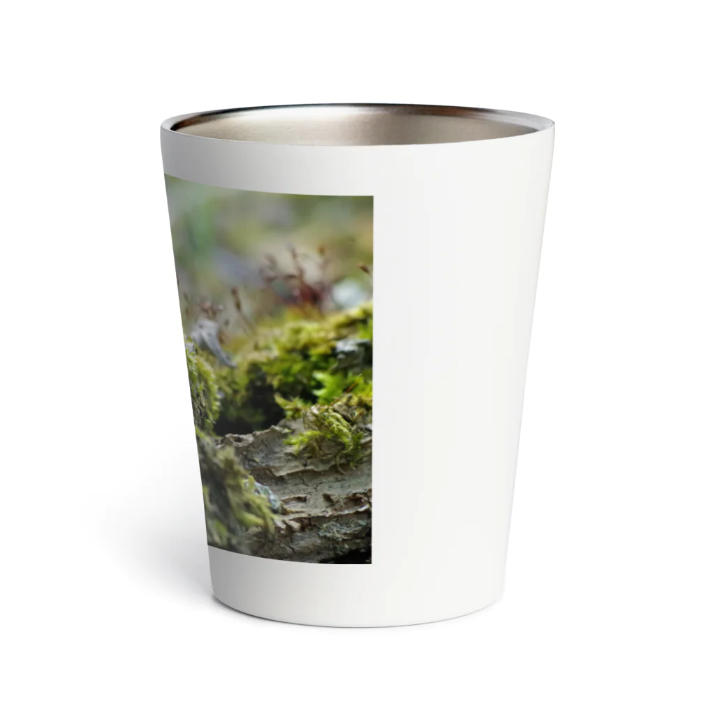 ﾛｯﾄﾓｰﾝﾄの苔むした Thermo Tumbler