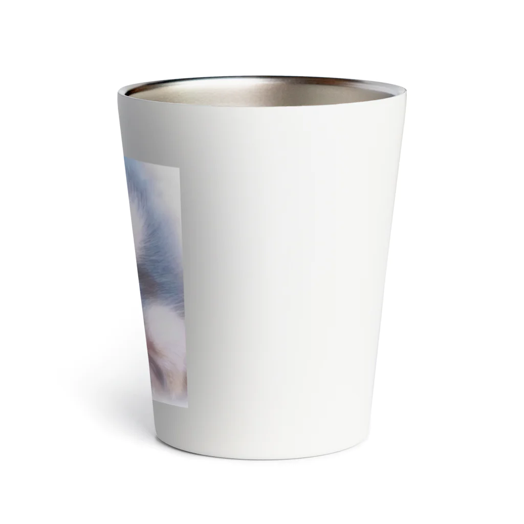 【ホラー専門店】ジルショップのKiss Me ちわわん Thermo Tumbler