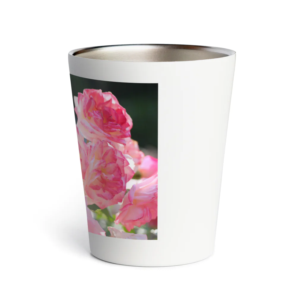 NEON LIGHT STARSの花包み Thermo Tumbler