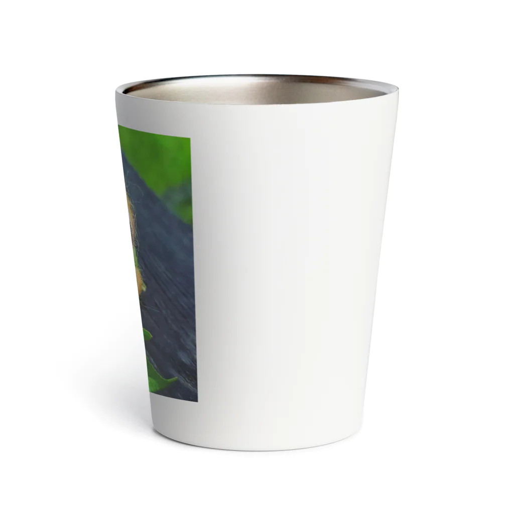 mari_kirajoのきらりちゃん Thermo Tumbler