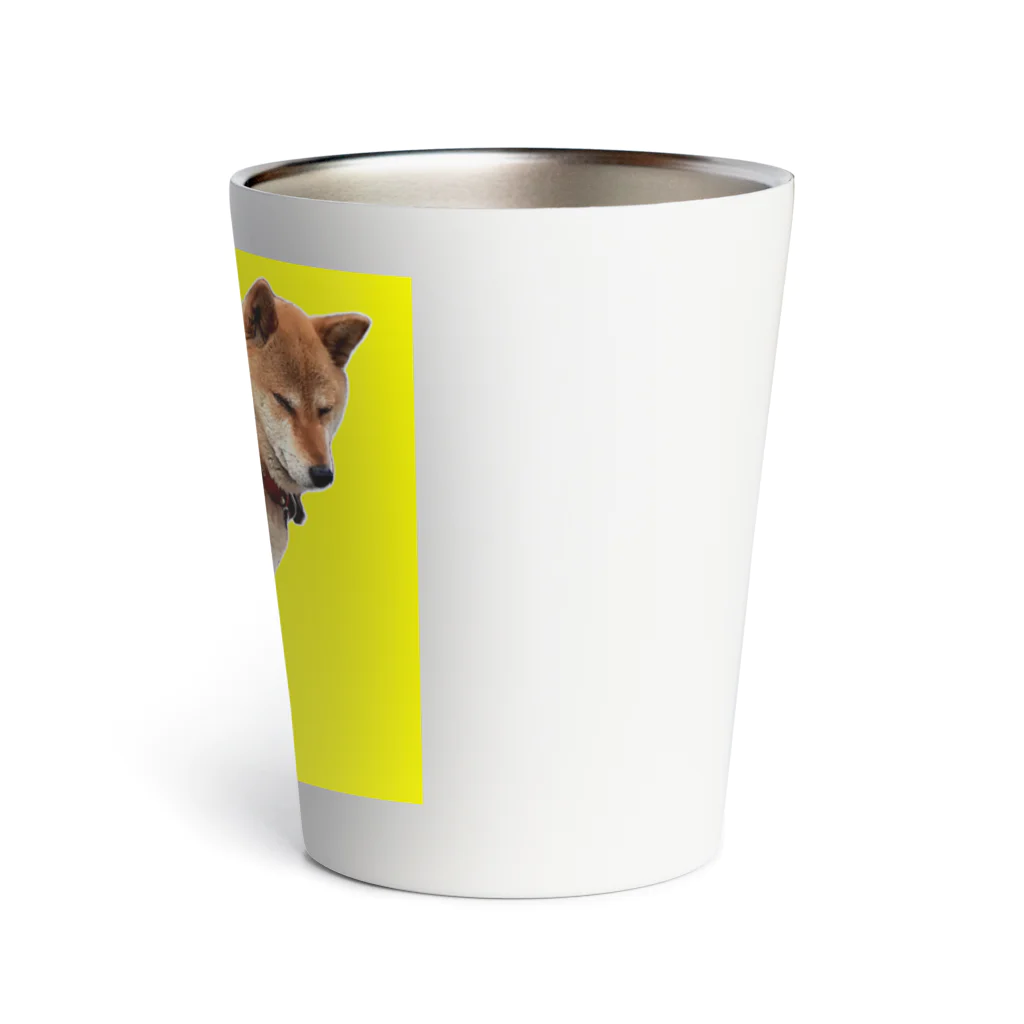 柴犬しばわんこhana873のおすわり柴犬(黄色枠) Thermo Tumbler