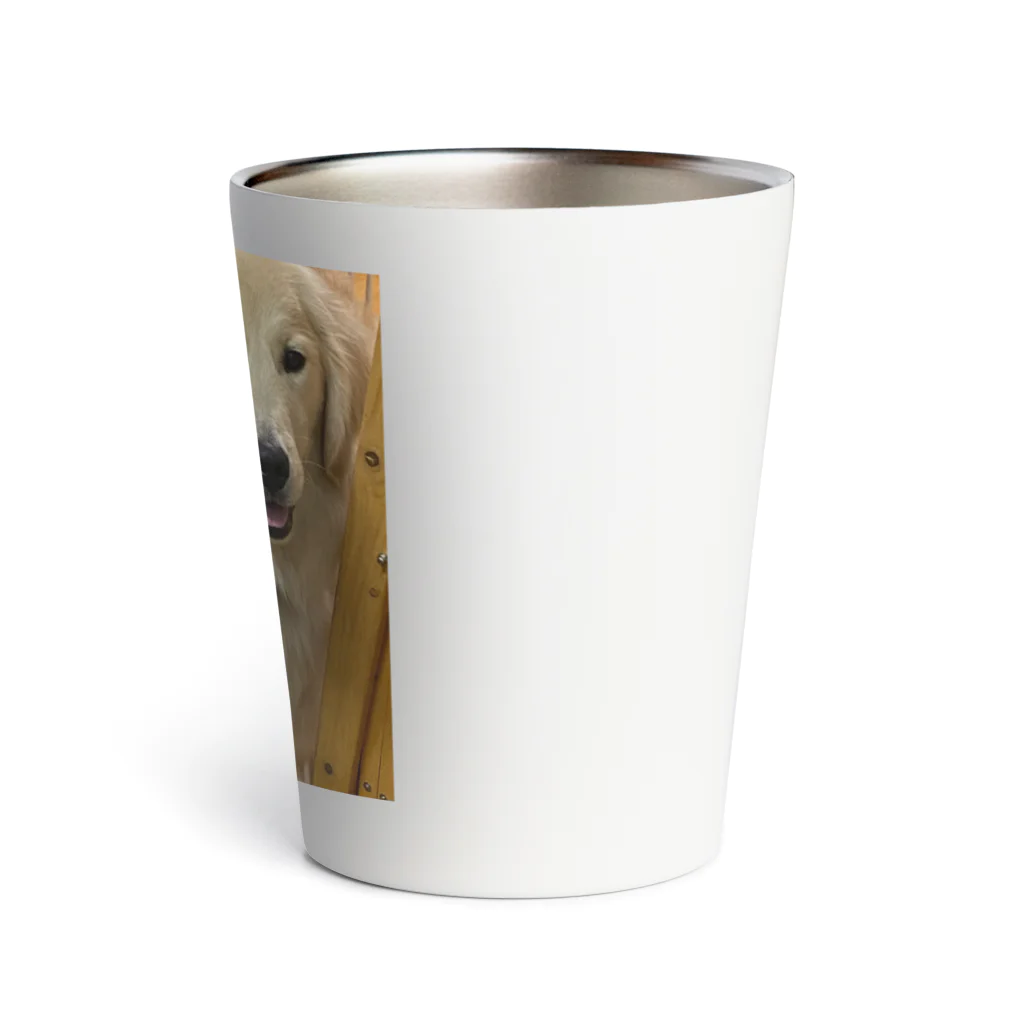 Golden Retriever Sarah&TaroのGolden Retriever Sarah&Taro3 サーモタンブラー