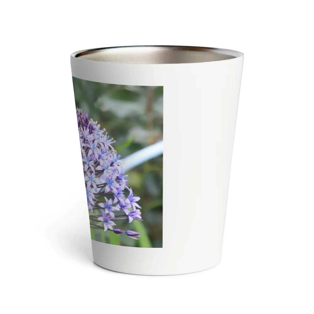 バルザックの紫花の降臨 Thermo Tumbler