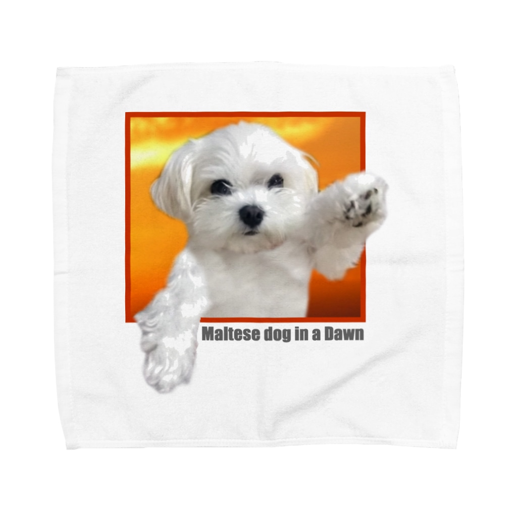 夜明けのマルチーズ１ マルチーズ本舗 夜明けのマルチーズ グッズショップ Maltese Dog In A Dawn Shop Daifukuchan737 のタオルハンカチ通販 Suzuri スズリ