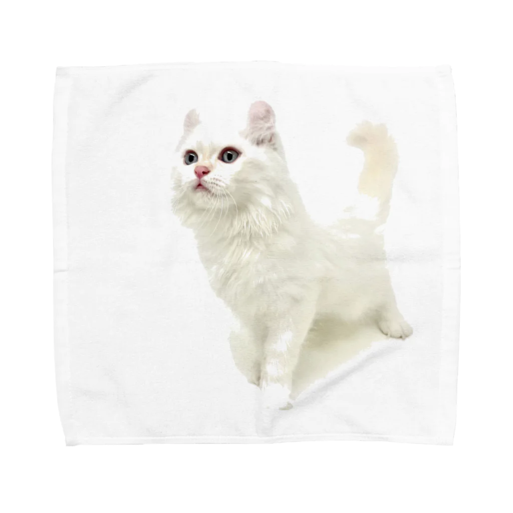 Milkoftheguineapigの白猫 Towel Handkerchief