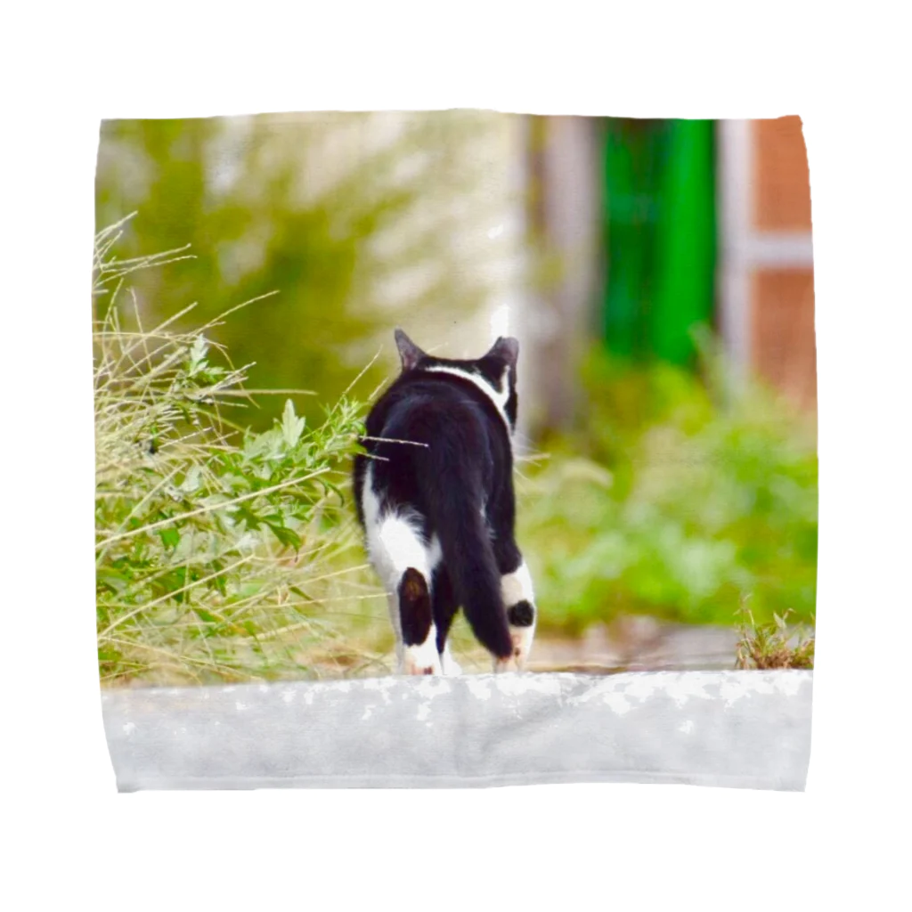 SuguruTakasawaの気まぐれな猫 Towel Handkerchief