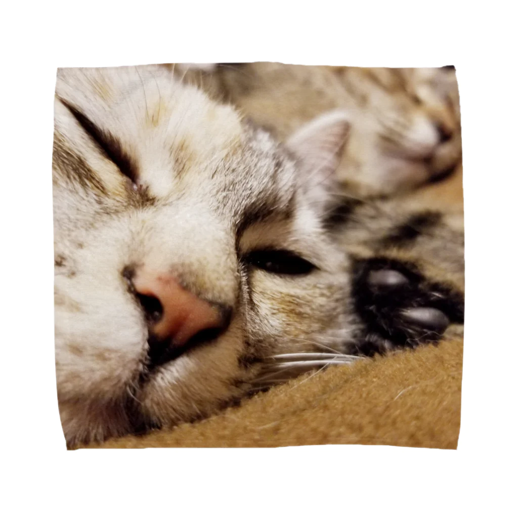 mana×micia！！のねこ Towel Handkerchief