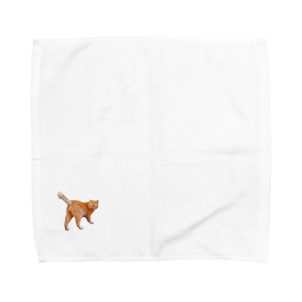 愛しきねこちゃんの振り返り猫 Towel Handkerchief