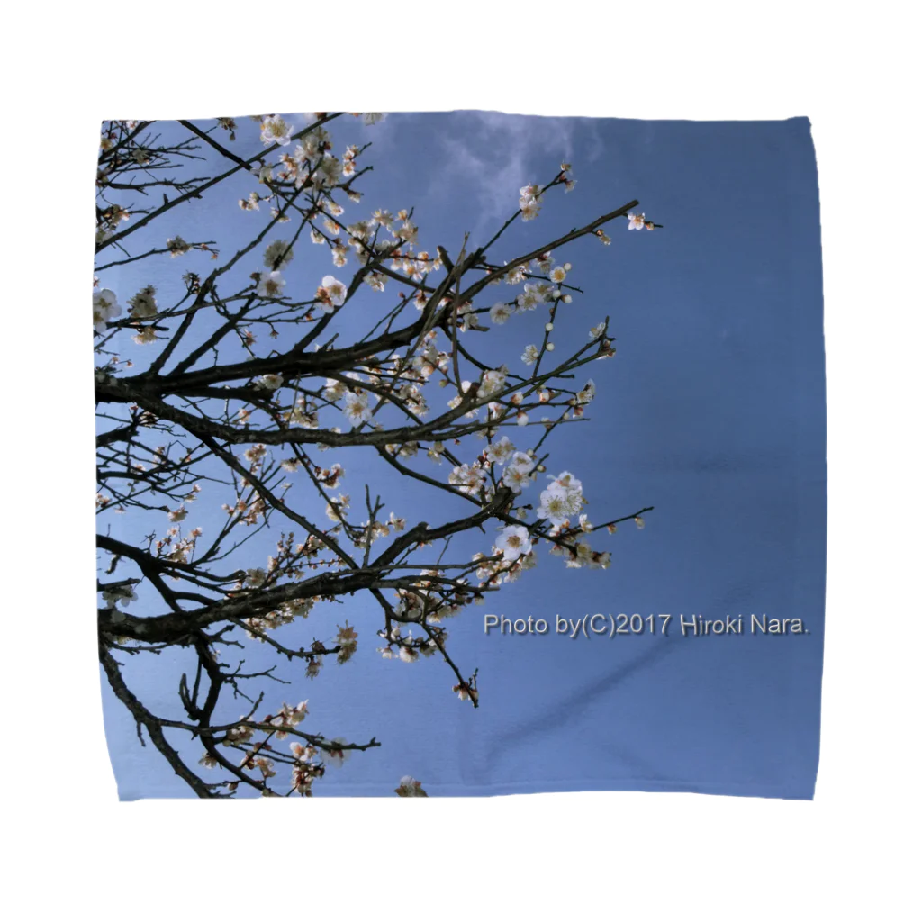 hiroki-naraの光景　sight738　梅  花 FLOWERS Towel Handkerchief