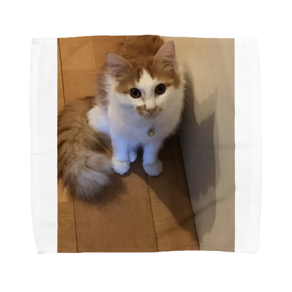 nadoreのある猫のワンショット Towel Handkerchief