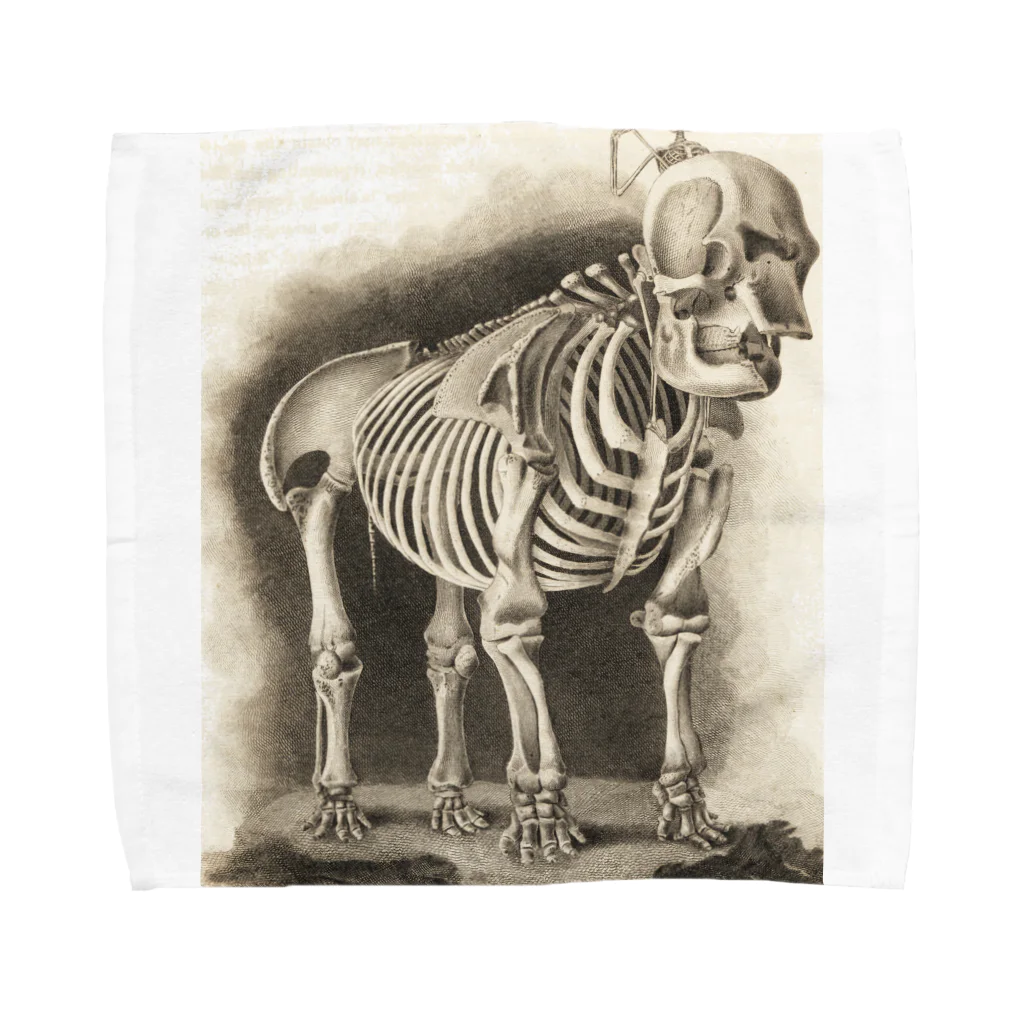 J. Jeffery Print Galleryの銅版画による人体骸骨 Towel Handkerchief