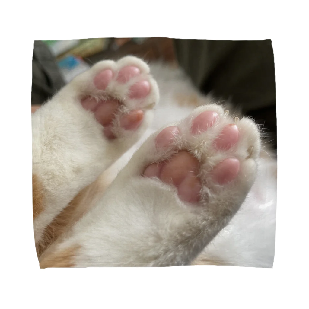 にゃんこのお小遣いのねこ　にゃんこの肉球 Towel Handkerchief