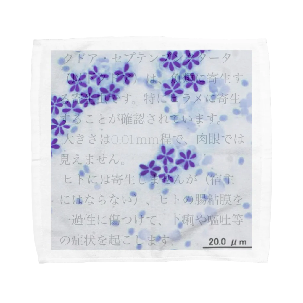 みかちゃんのへやのクドアセプテンプンクタータ Towel Handkerchief