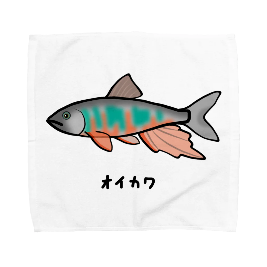 魚シリーズ】オイカワ♪230831 / 脂身通信Z ( aburami_z )の