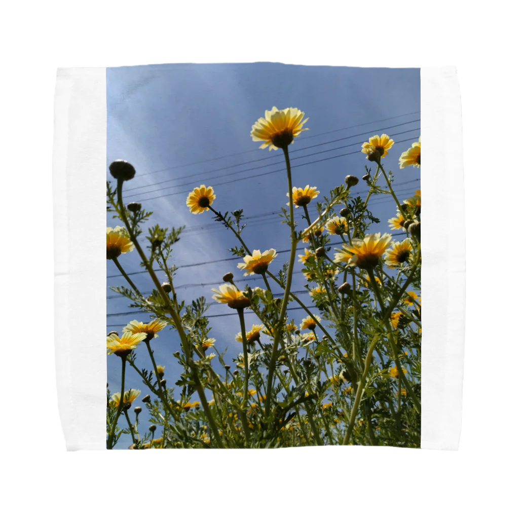 MMの黄色い春菊の花 Towel Handkerchief