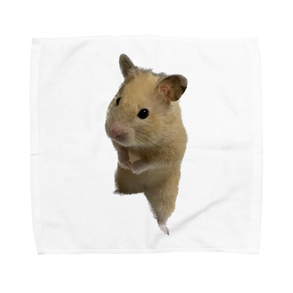 ハムスターの世界のキンクマハムスター Towel Handkerchief