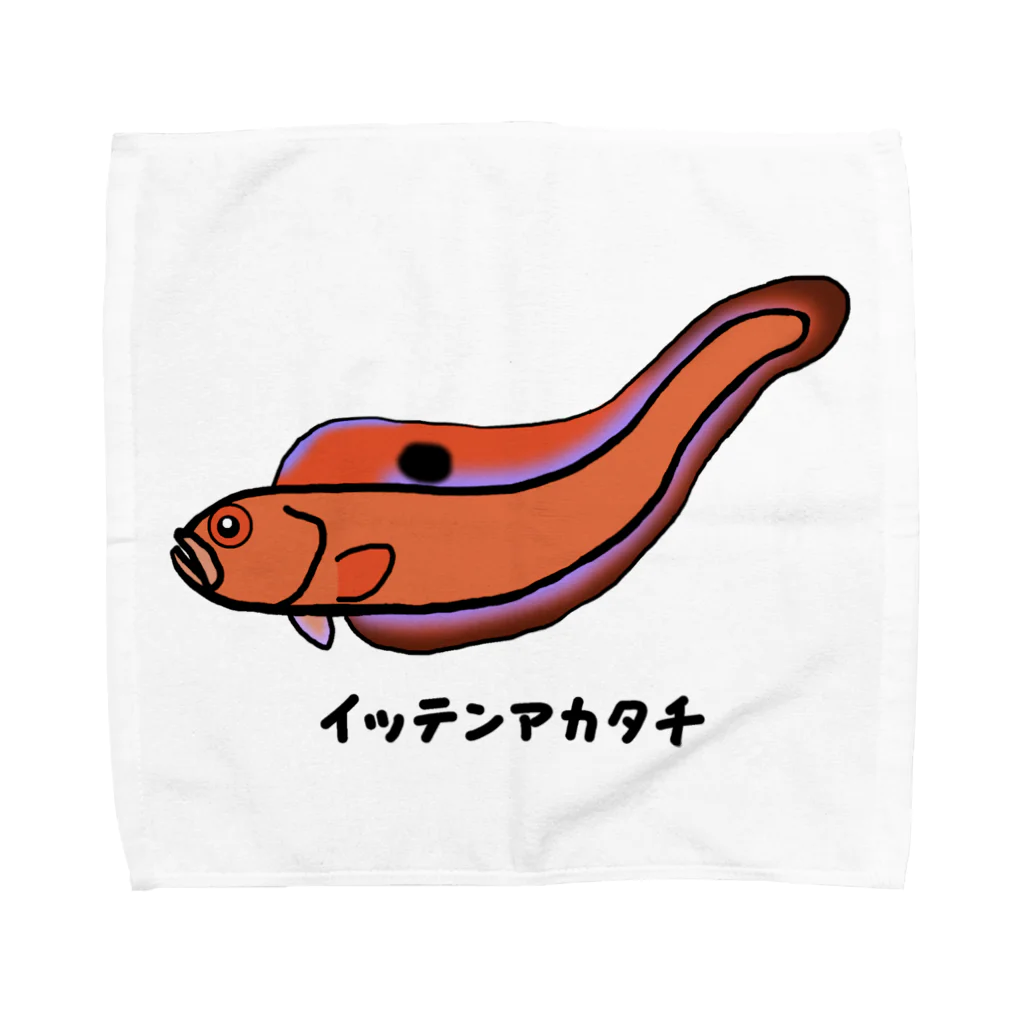 脂身通信Ｚの【魚シリーズ】イッテンアカタチ♪231103 Towel Handkerchief