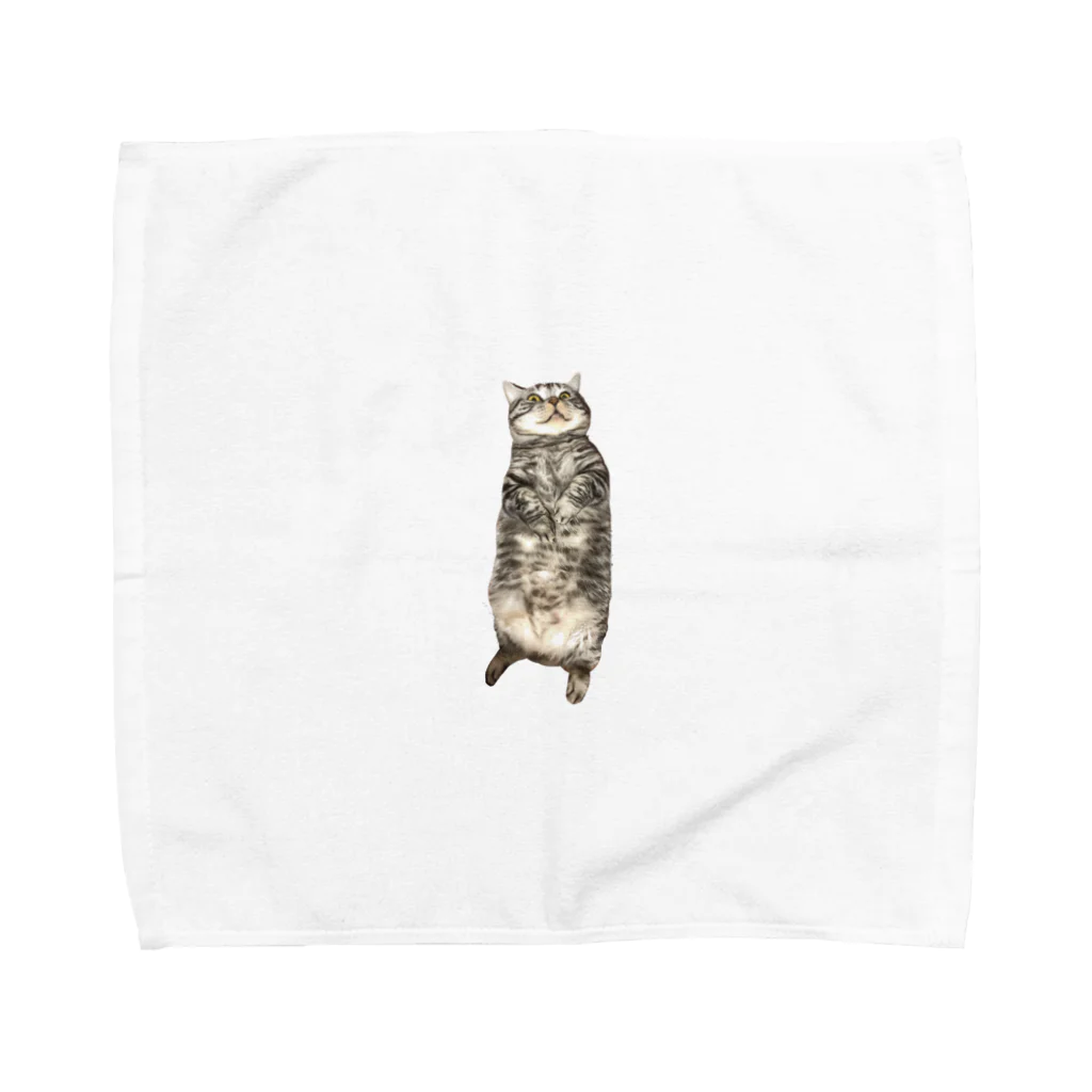 ひらた屋さんの喧嘩売るごましおくん Towel Handkerchief