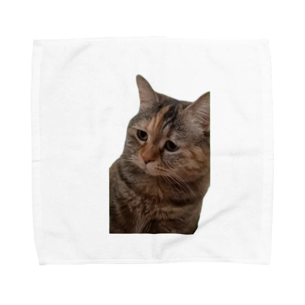 猫ミームグッズの【猫ミーム】叱られる猫 Towel Handkerchief