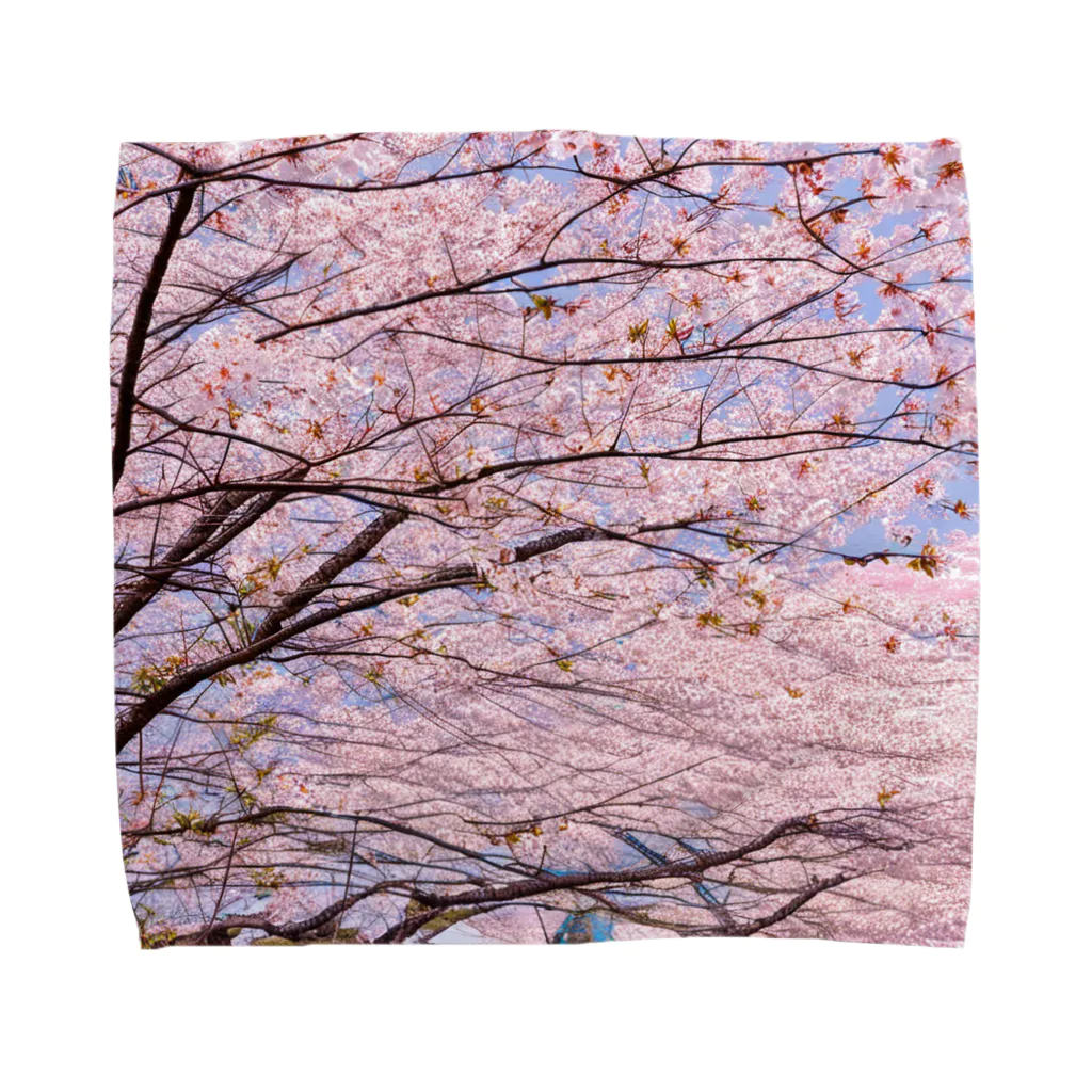 辺賦志ショップの美しき桜 Towel Handkerchief