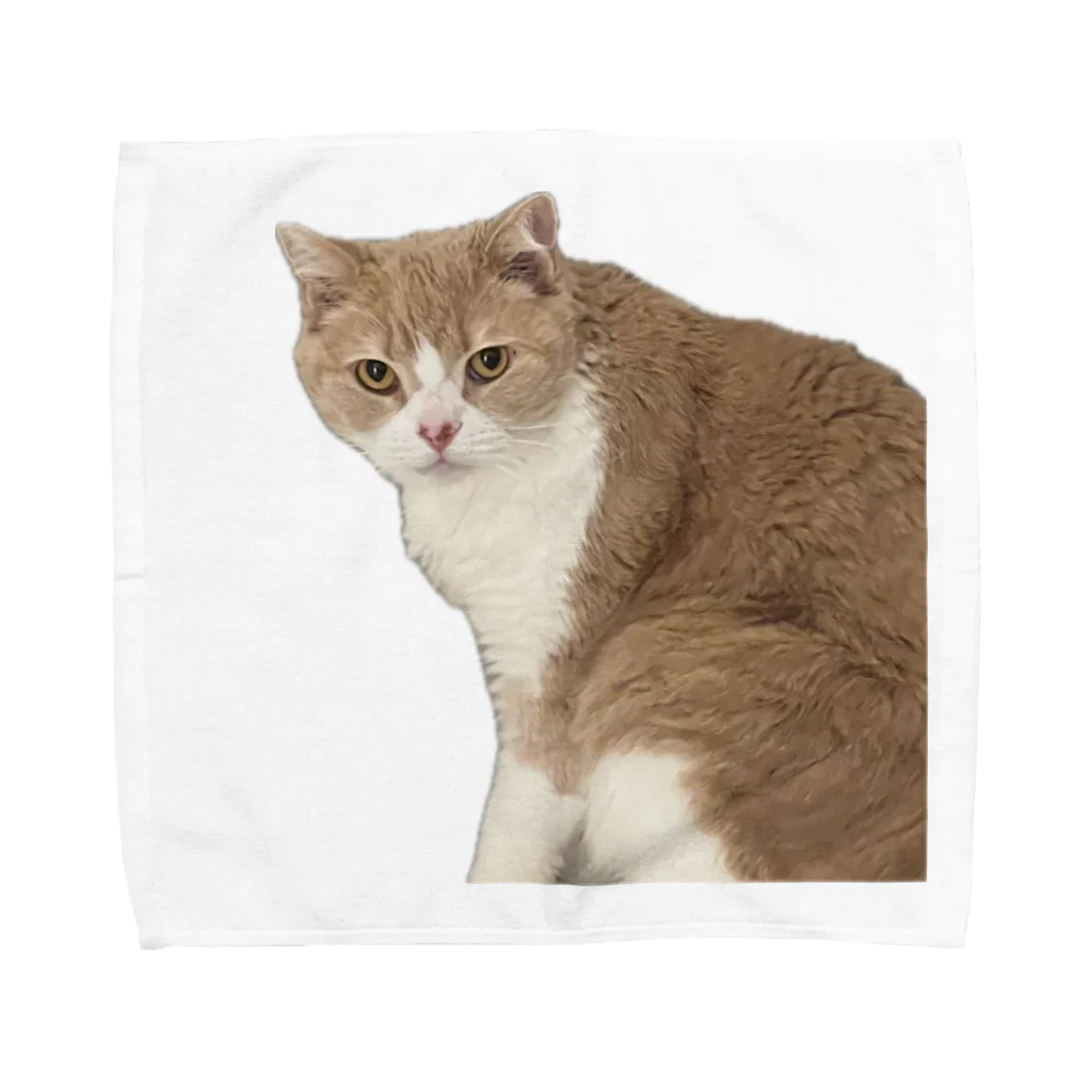 Mashlyのマシロくん猫グッズ Towel Handkerchief