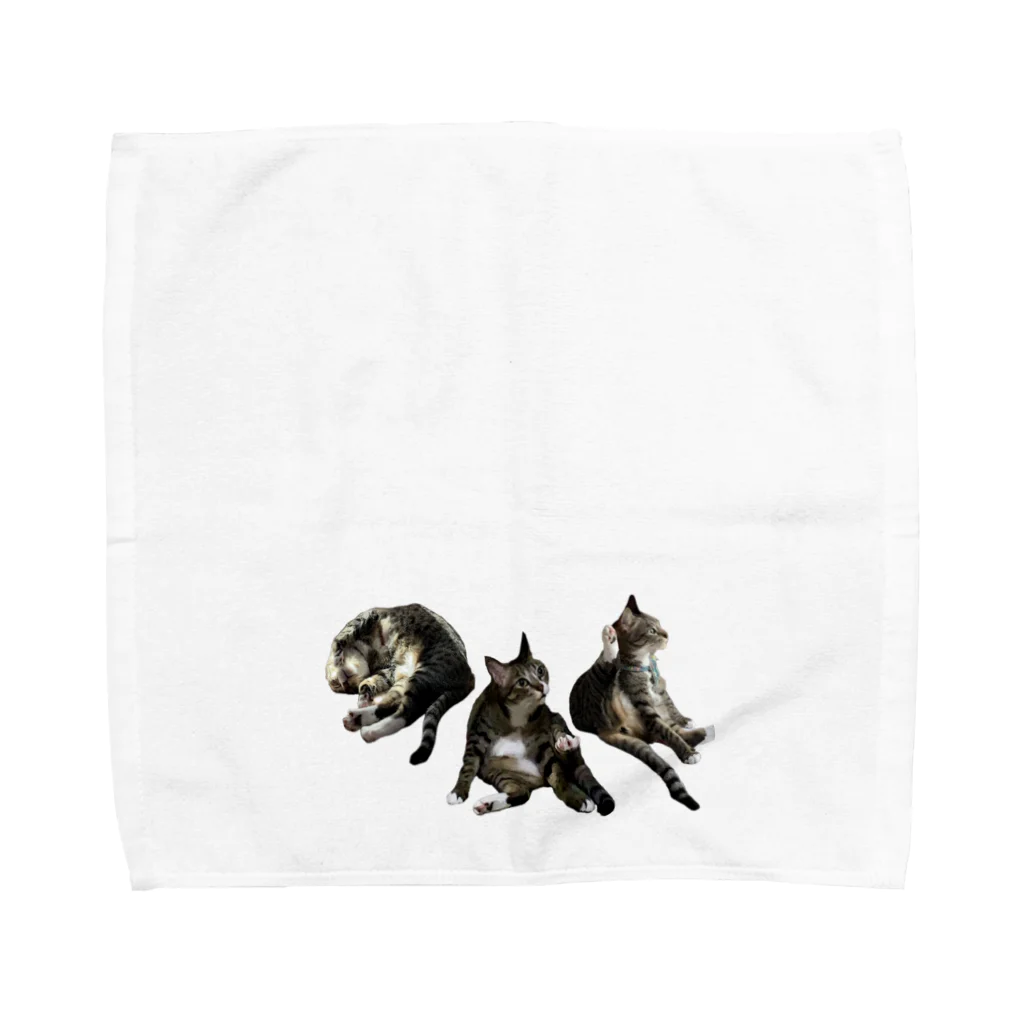 sisyの家ねこ悩殺3ポーズ Towel Handkerchief