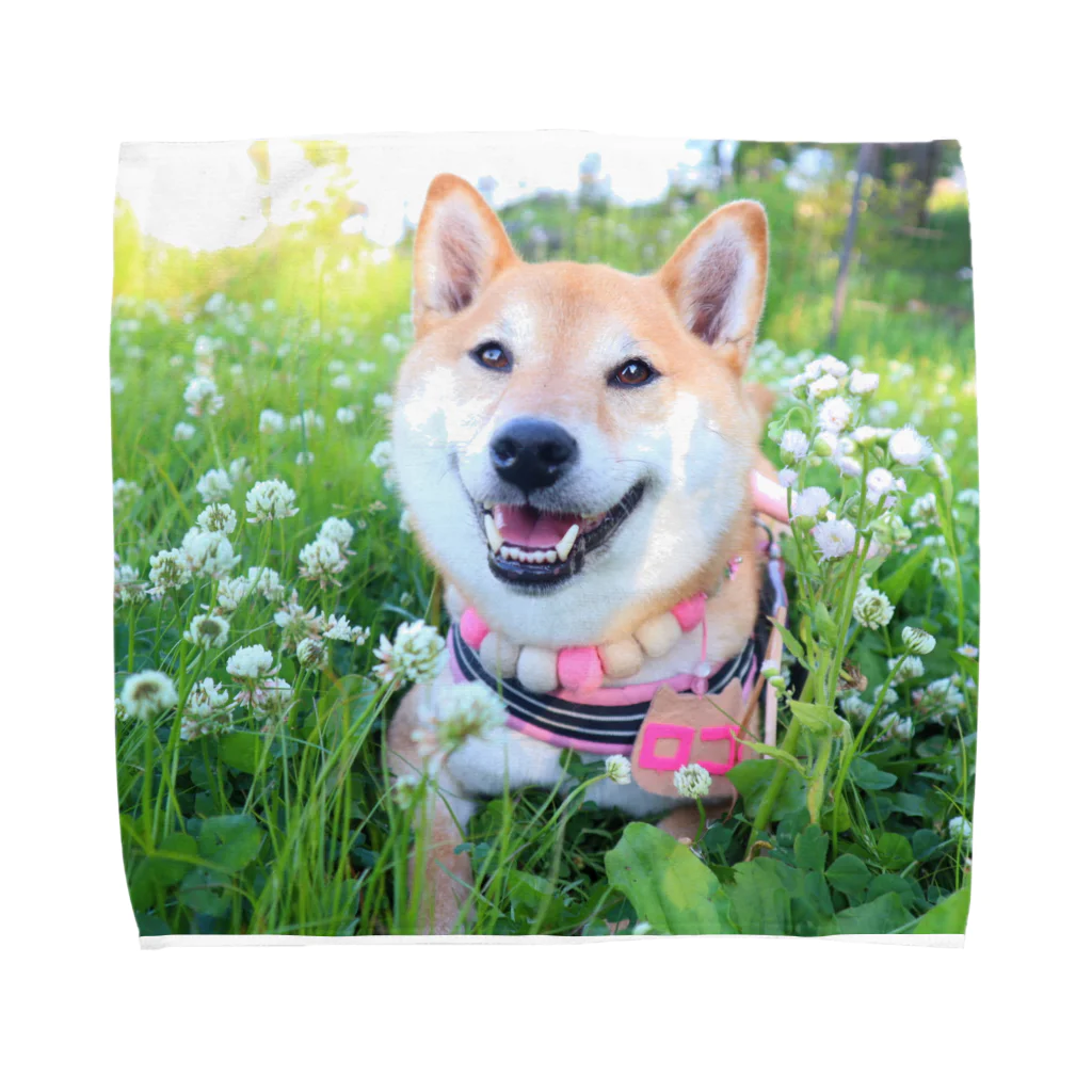 shibainu_rocoの柴犬ロコ Towel Handkerchief