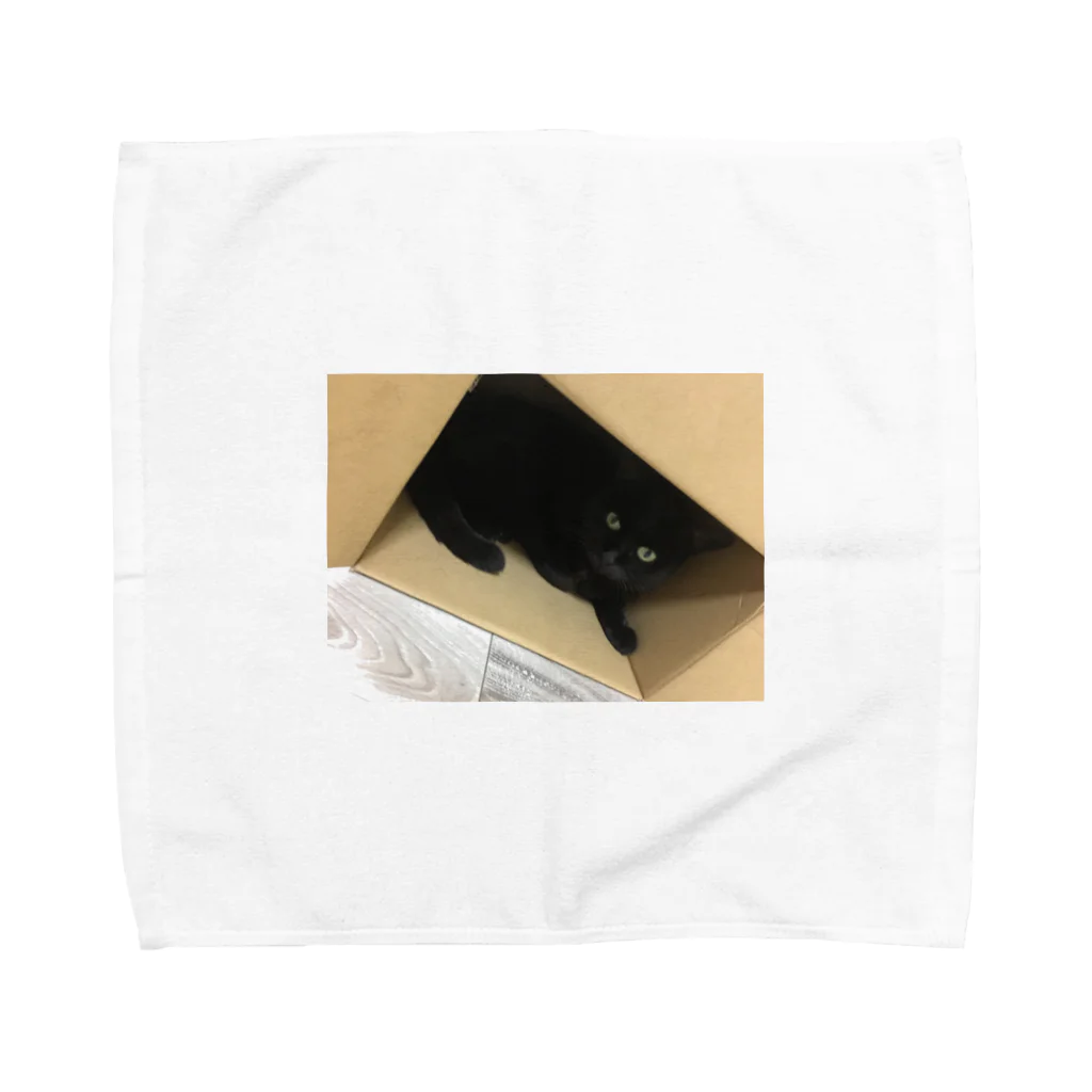 chouchouminekoのダンボールからぴょこ Towel Handkerchief