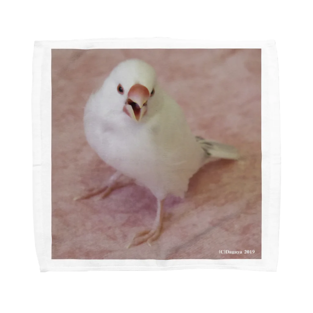 だが屋のかっこいい白文鳥 Towel Handkerchief
