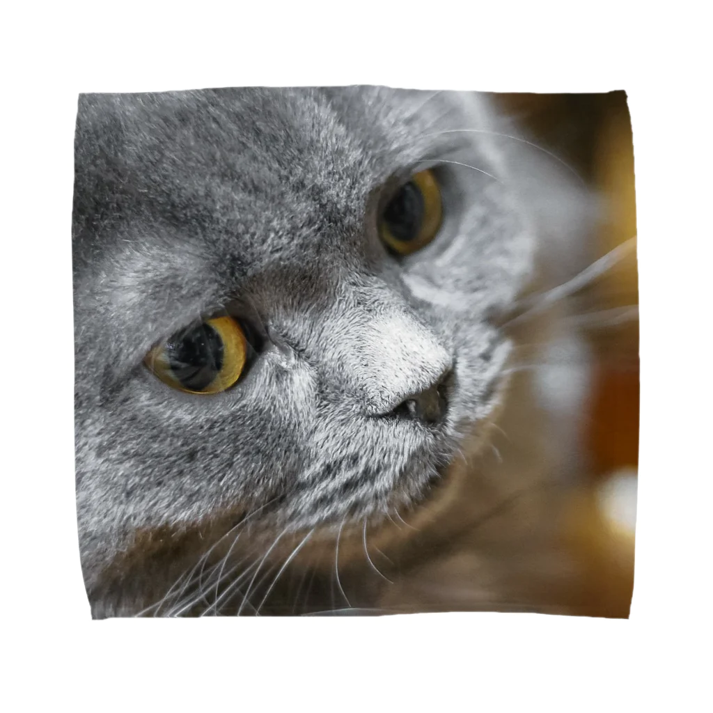 熱帯の果実チェリモヤ🥭のシュールな猫 Towel Handkerchief