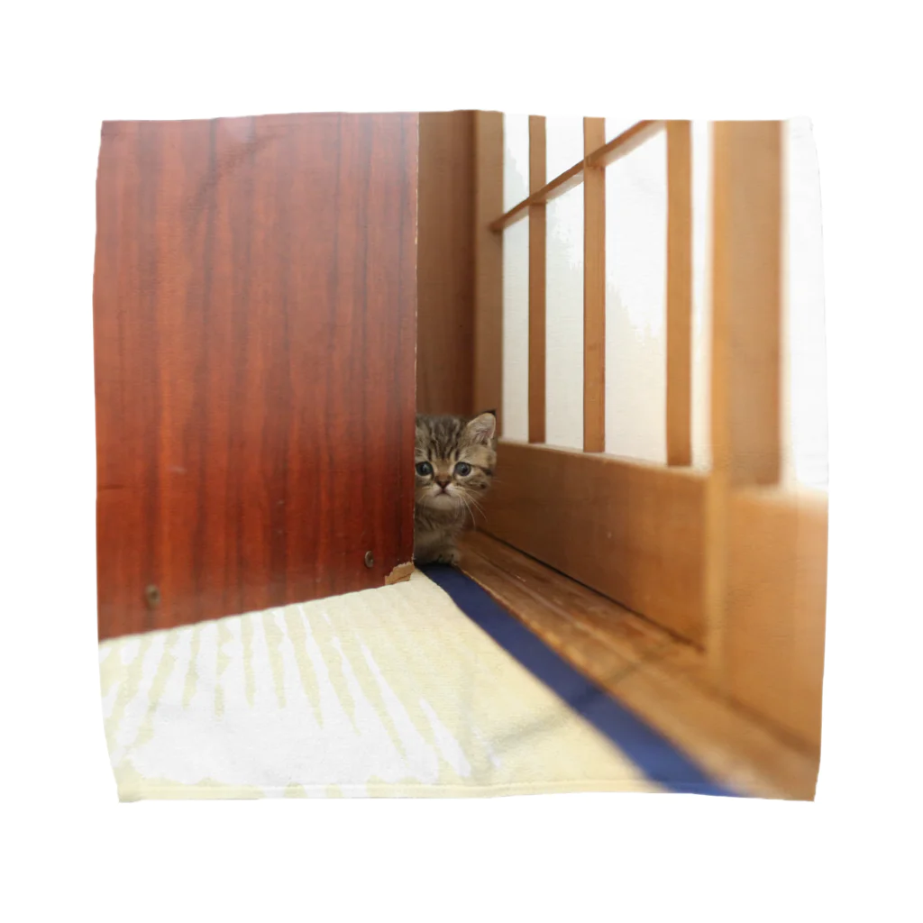 mkoijnのねこ タオルハンカチ