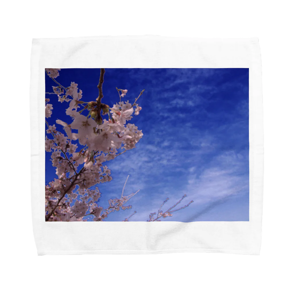 hiroki-naraの桜　サクラ　cherry blossom DATA_P_093 Towel Handkerchief