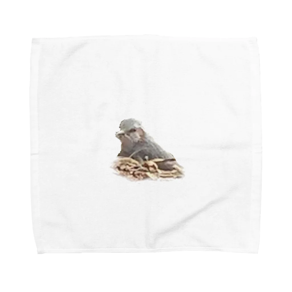 Rの鳥 Towel Handkerchief