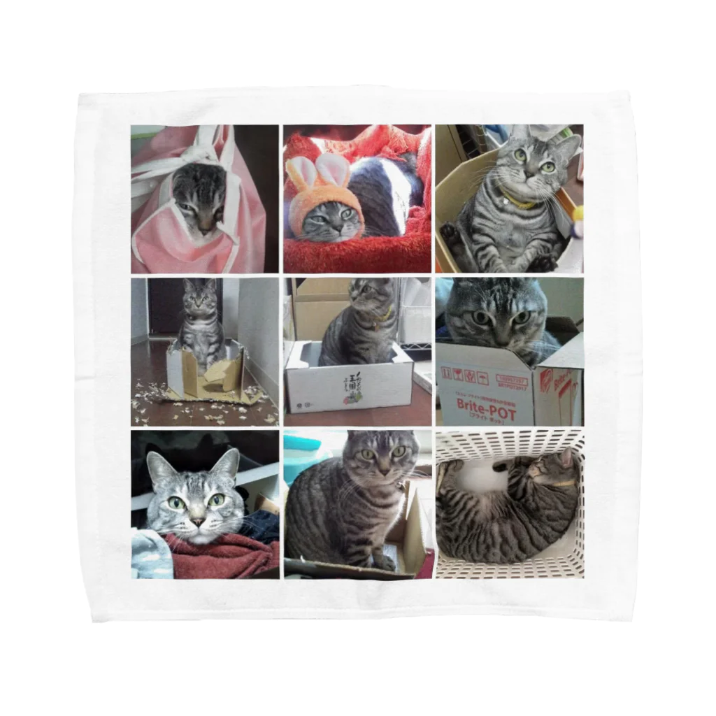 junkのトルビュートニャン Towel Handkerchief