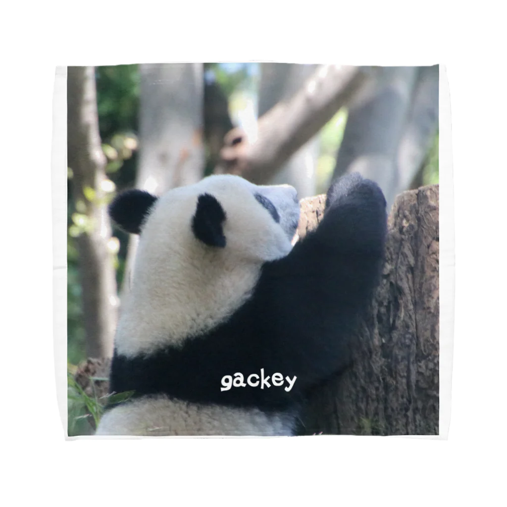 gackeyの背伸び PANDA タオルハンカチ