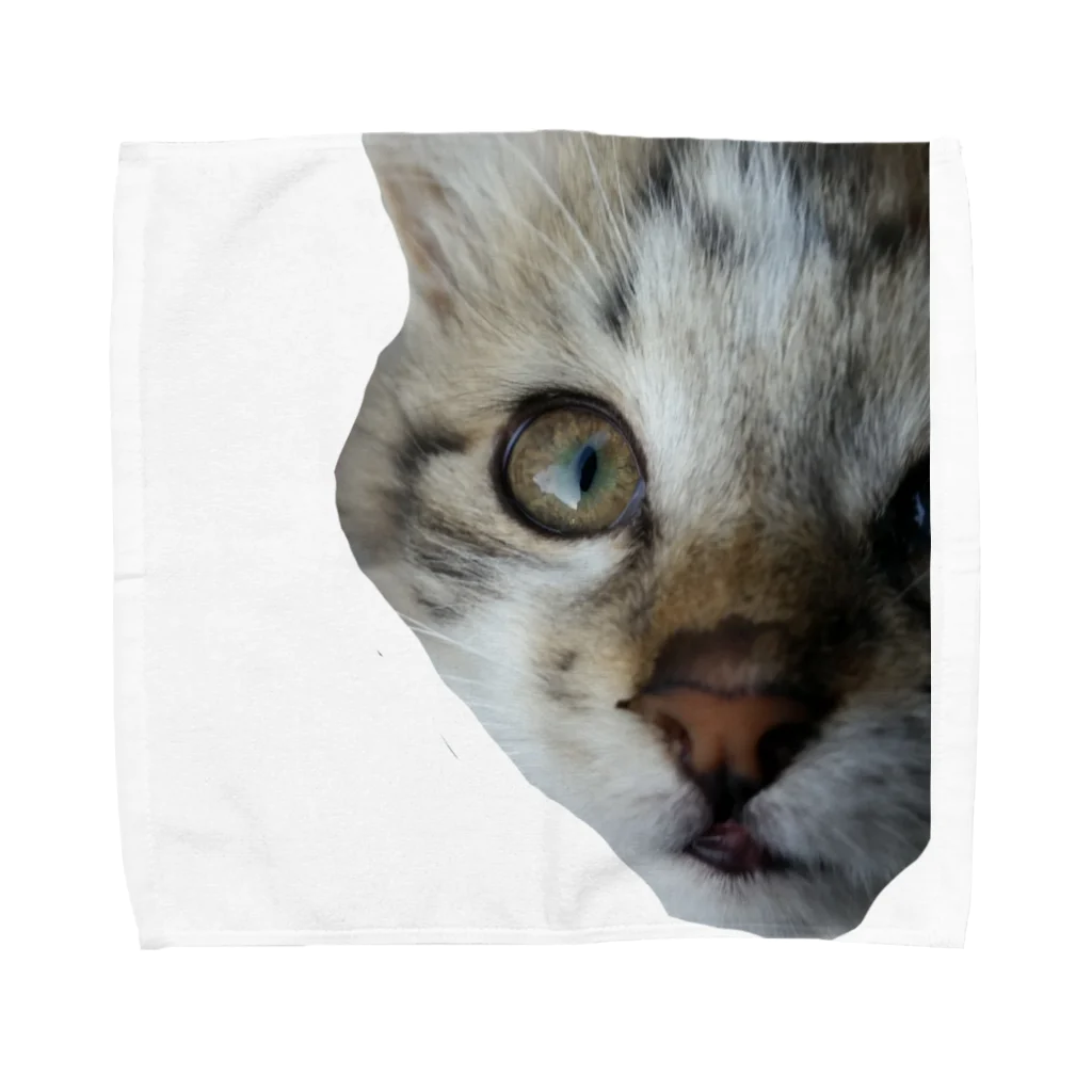 愛猫ちゃん達の毎日の★moko'★ Towel Handkerchief