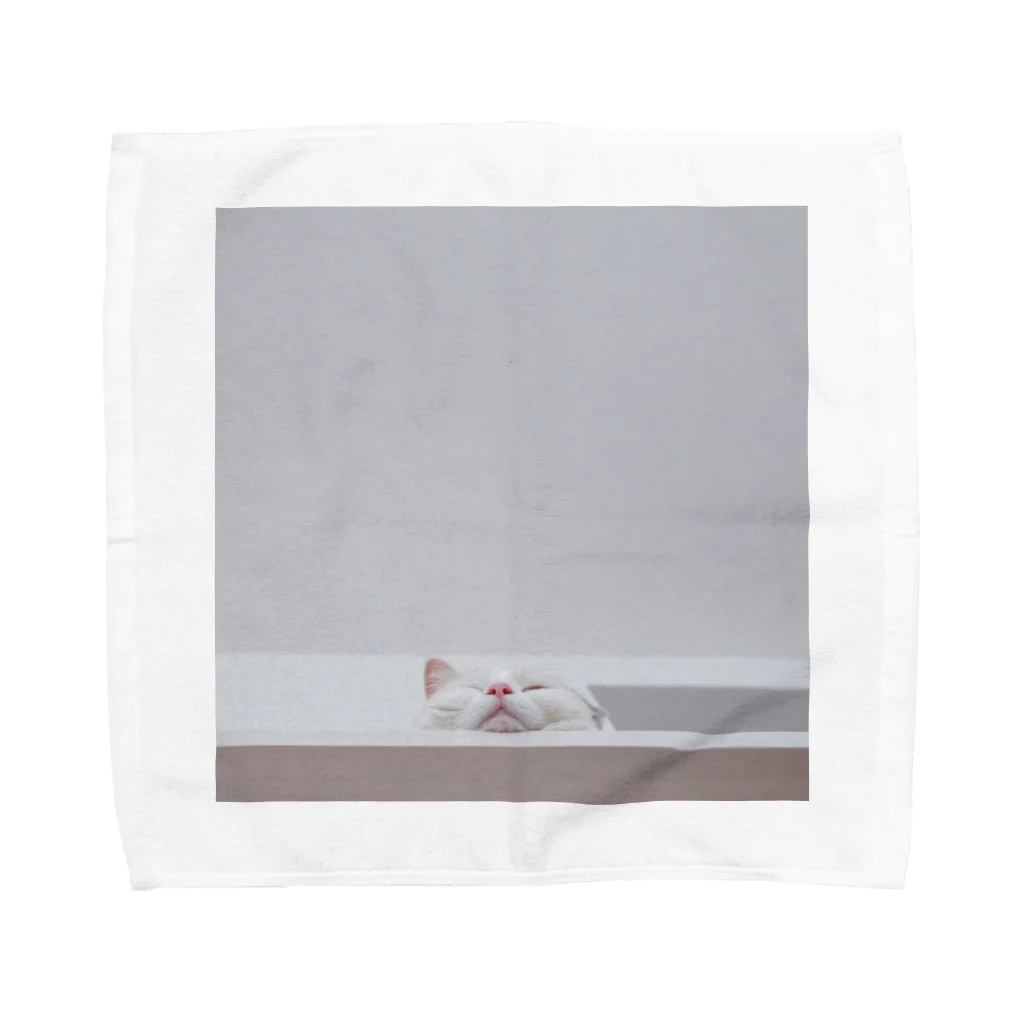 chatonの実家の猫 Towel Handkerchief