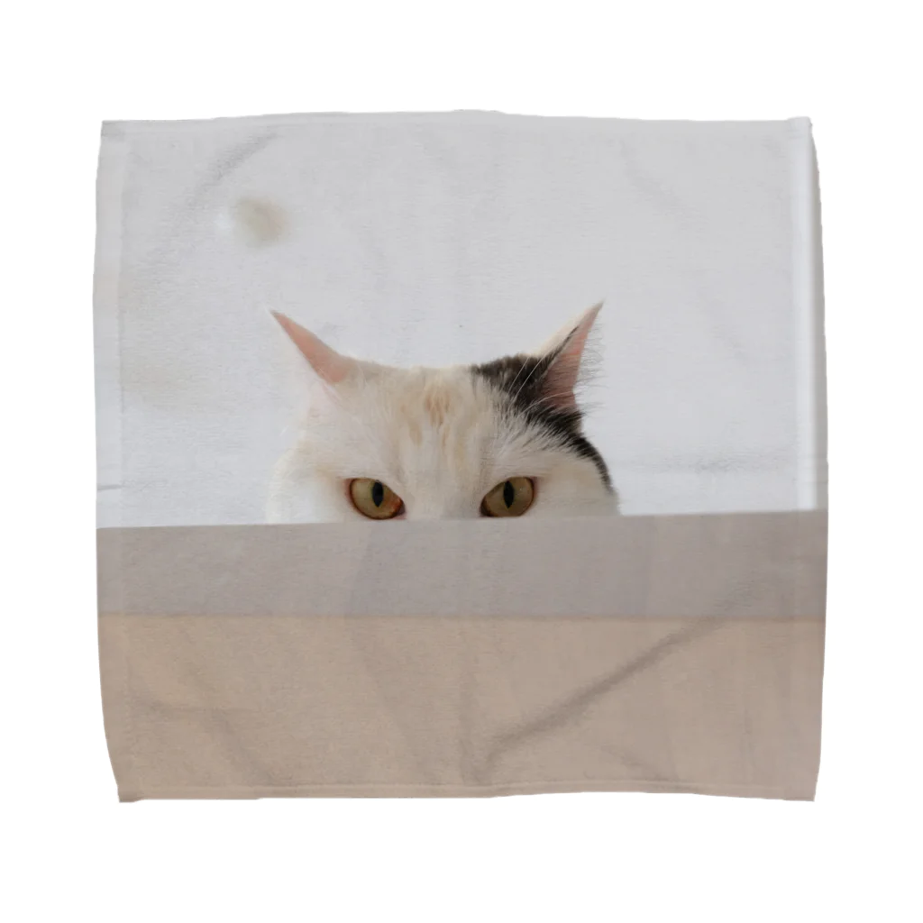 chatonの実家の猫 Towel Handkerchief