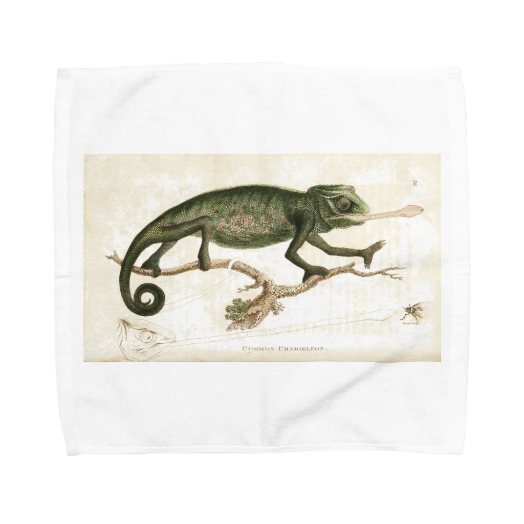 J. Jeffery Print Galleryのカメレオン Towel Handkerchief
